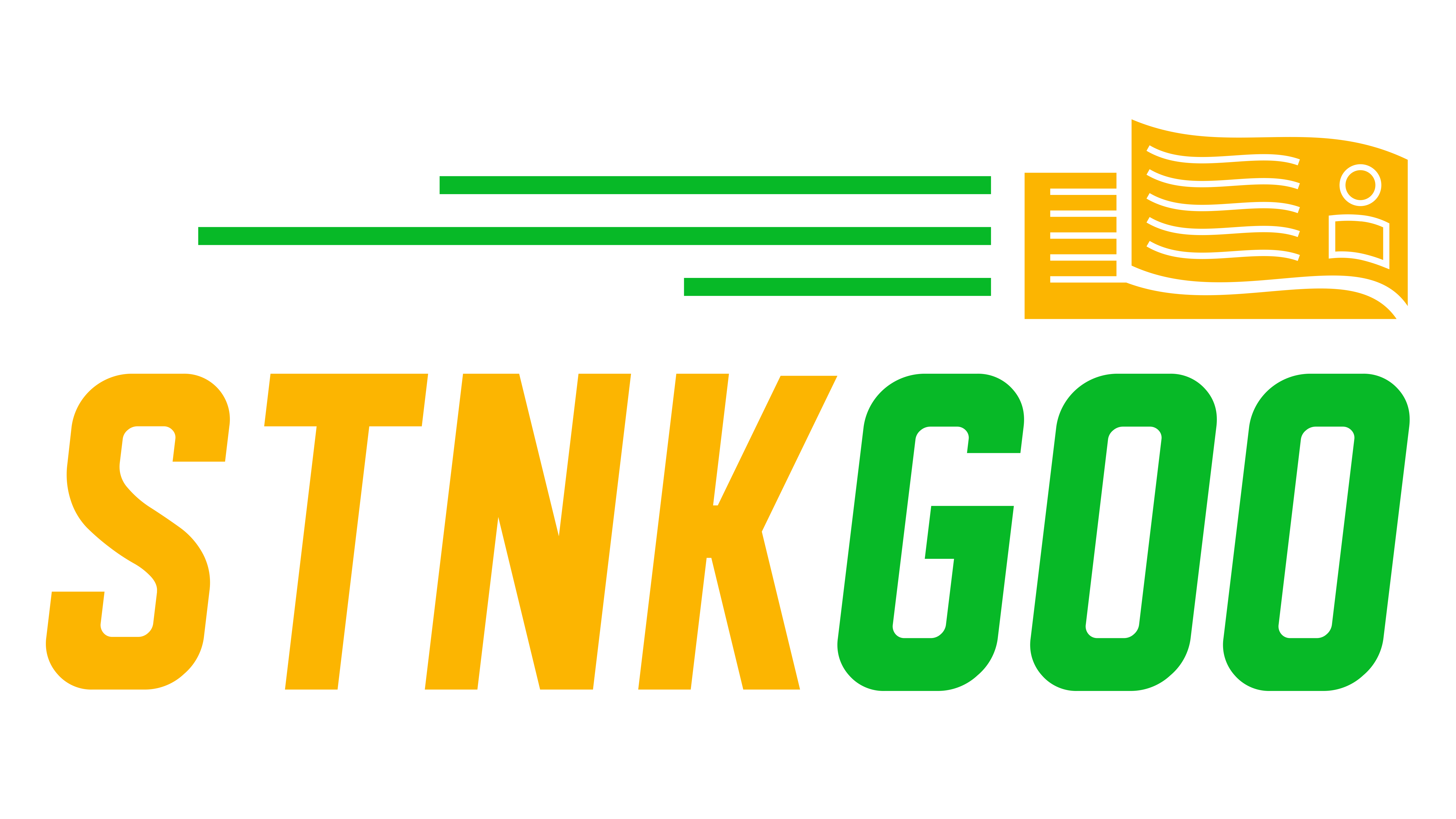 Logo STNKGOO